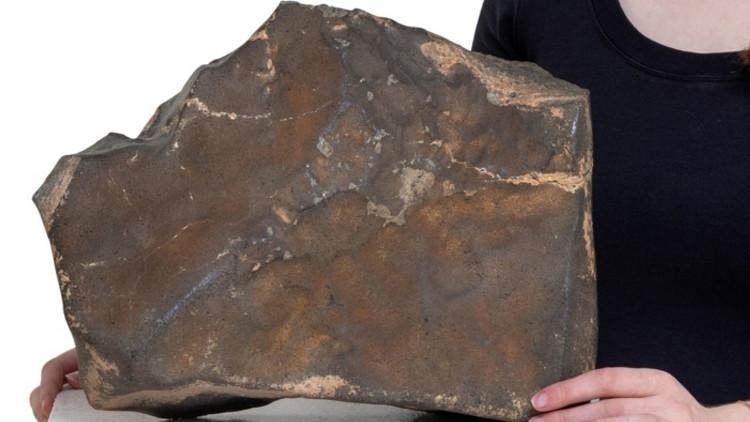 Der schwerste Stein vom Mars steht zum Verkauf: Er könnte 4 Millionen Dollar kosten