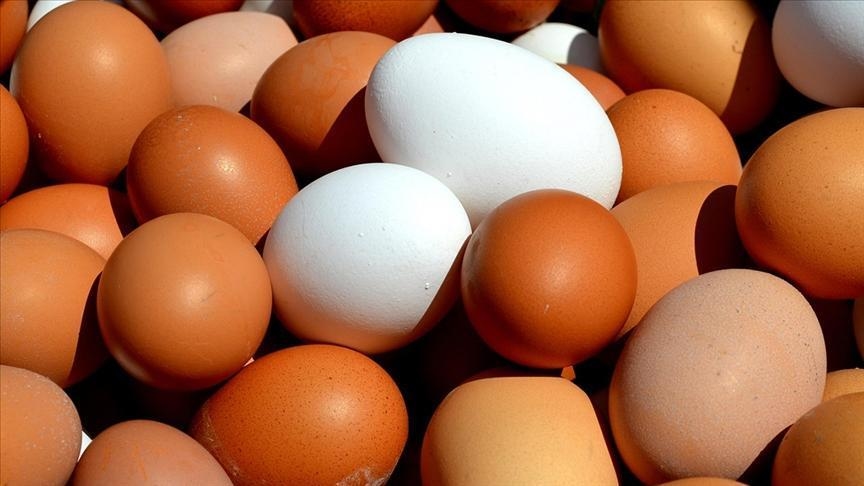 De export van tafeleieren wordt met 50 cent per kilo verlaagd