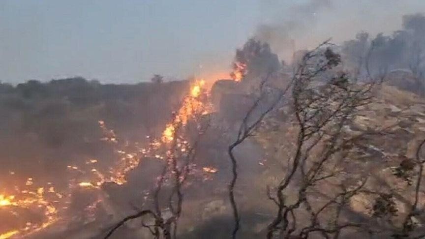 De brand in het district Efeler in Aydın is onder controle gebracht