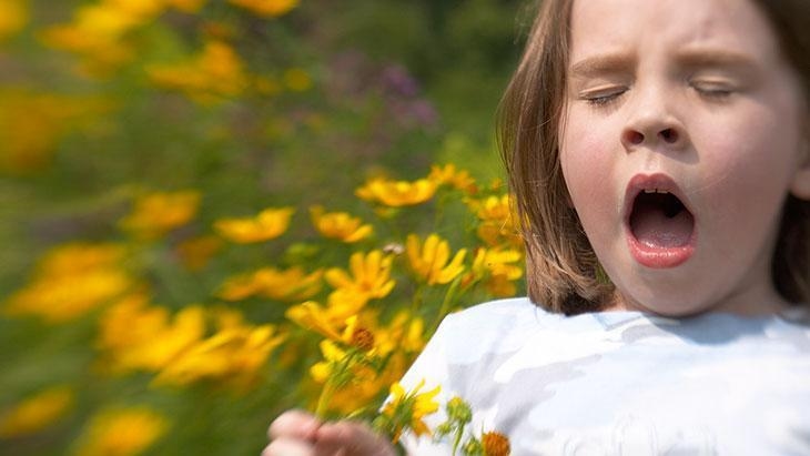 Unterschätzen Sie die laufende Nase nicht! Die Pollenallergie hält den ganzen Sommer über an