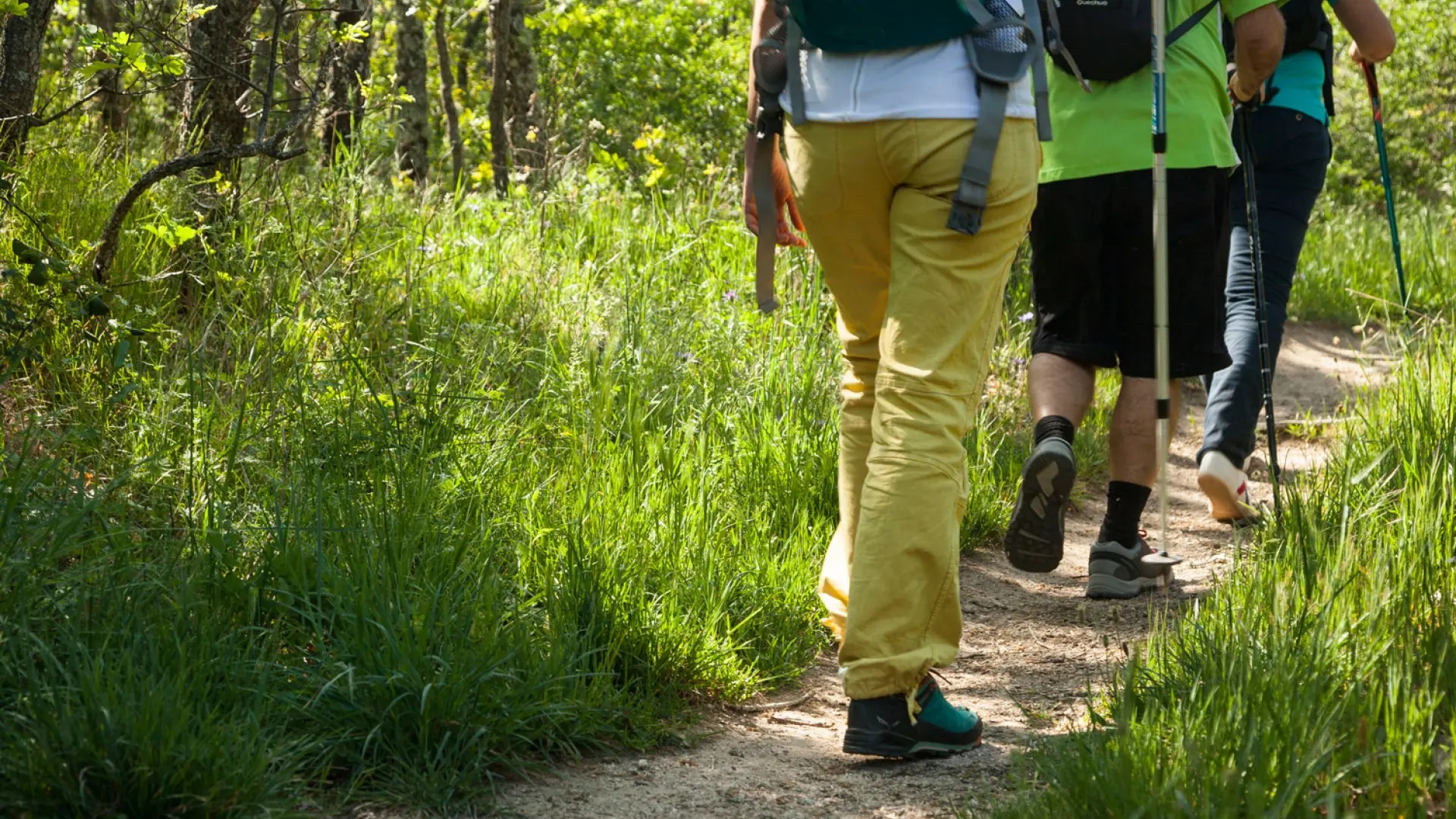 Ne ağırlığı sırt çantanıza doğru şekilde yerleştirmek ne de yokuşlarda pratik yapmak: Camino de Santiago'da yaralanmalardan kaçınmak için genellikle size verilmeyen anahtarlar