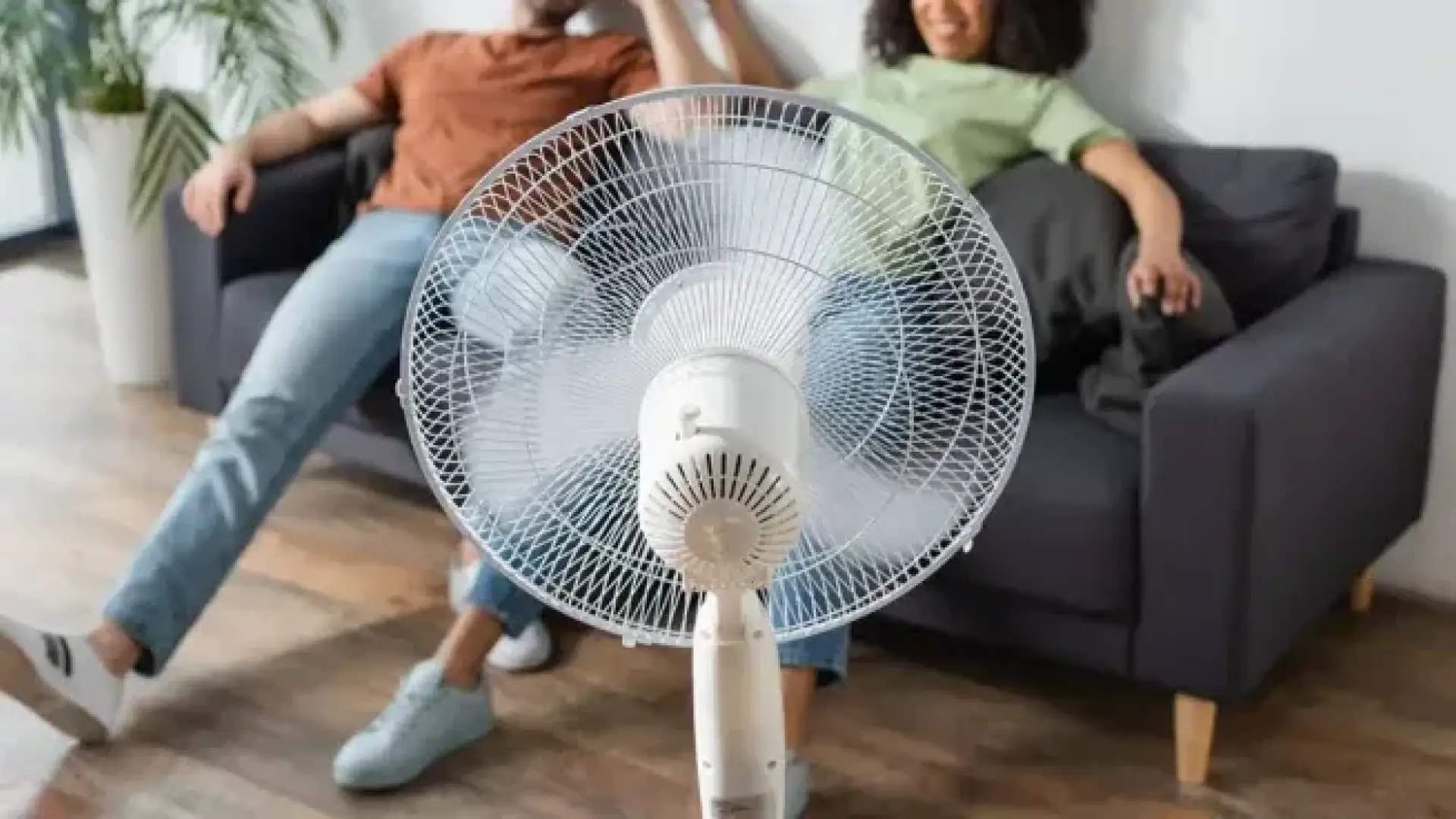A fruta que te salva quando você volta da rua com calor e não quer cozinhar
