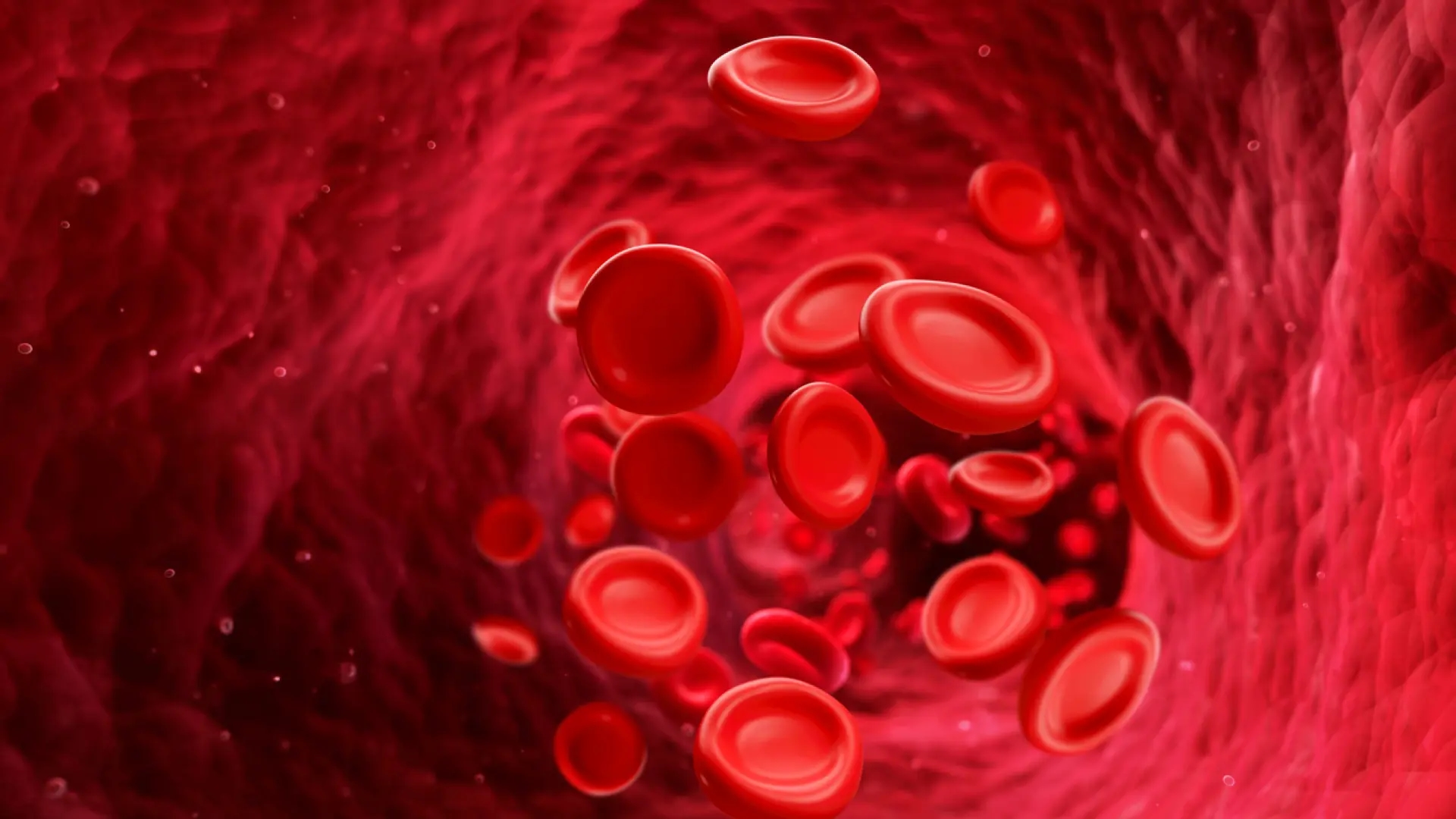 Cientistas espanhóis confirmam que centenários têm menos açúcar e ácido úrico no sangue.