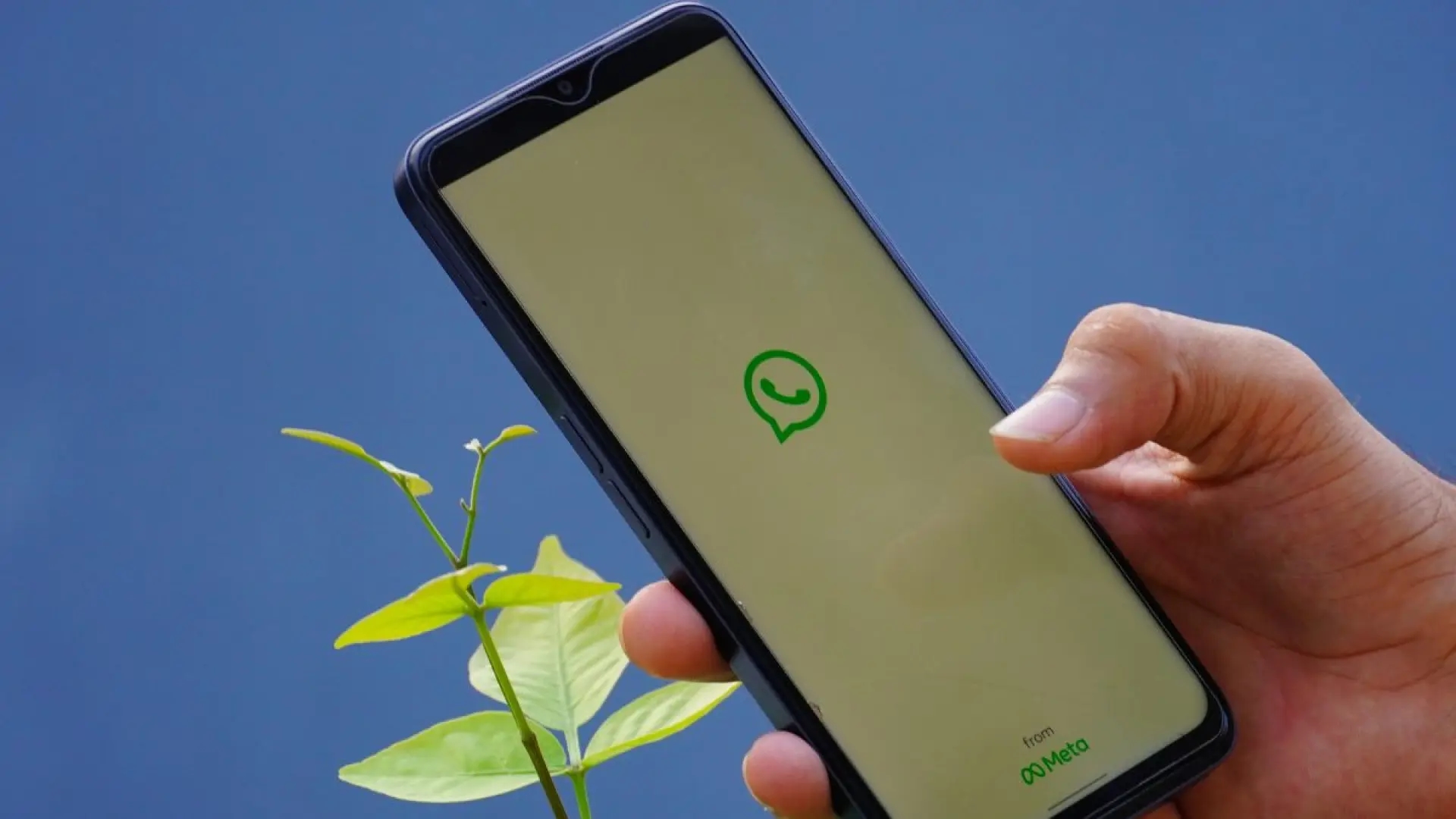 A IA do WhatsApp do Meta consegue ler suas mensagens?