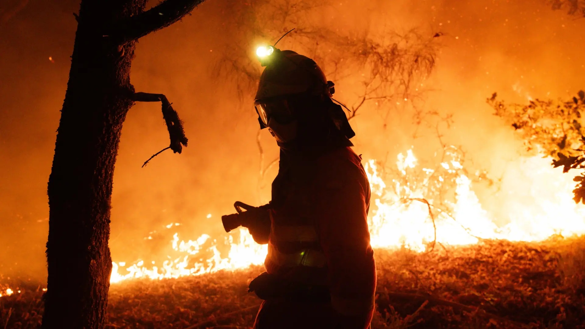 El humo en el aire por la ola de incendios "puede hacer un gran daño al cuerpo", según los expertos