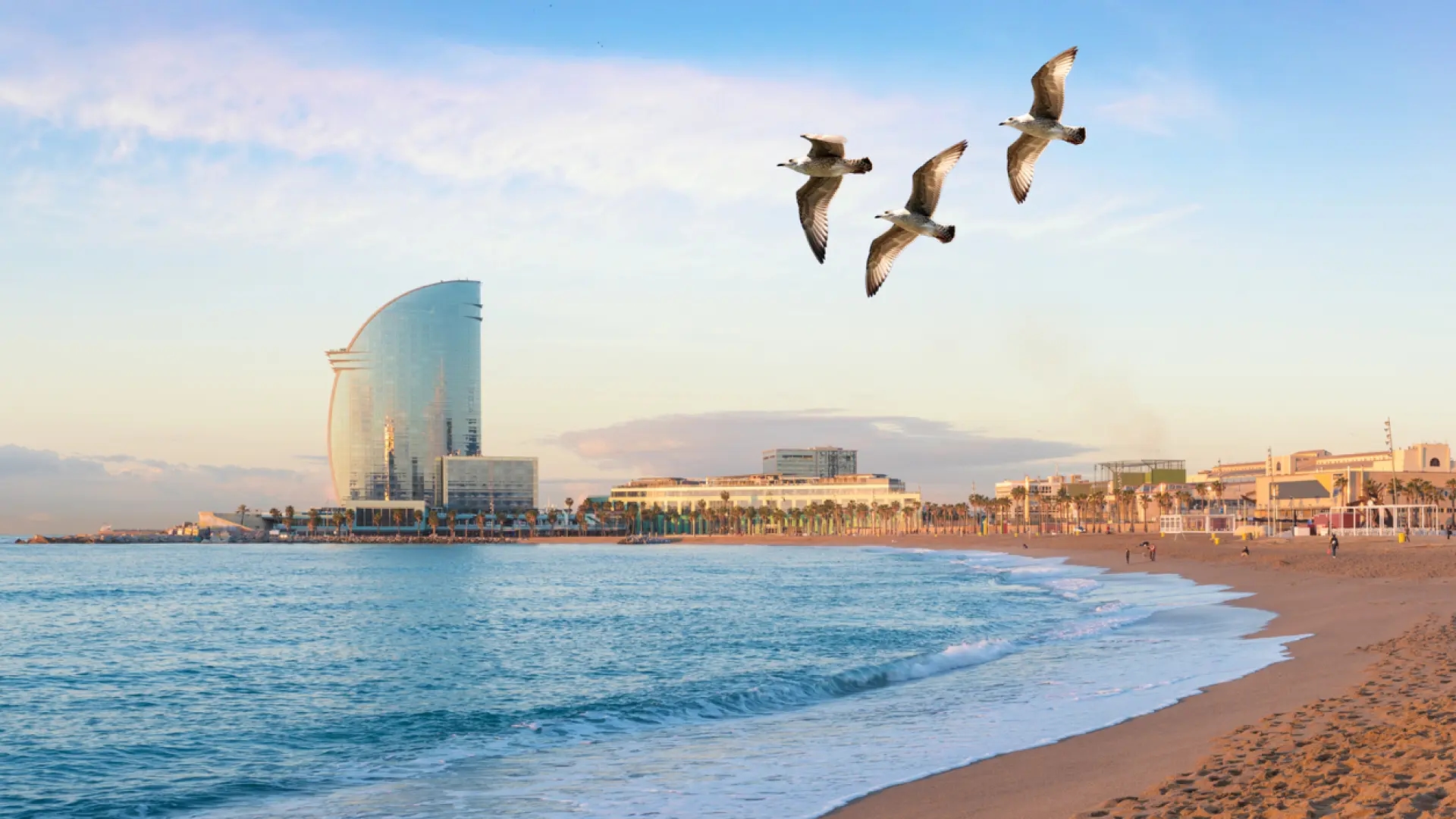 Sky, een toerist op het strand van Barceloneta: "Het water is vies en stinkt."
