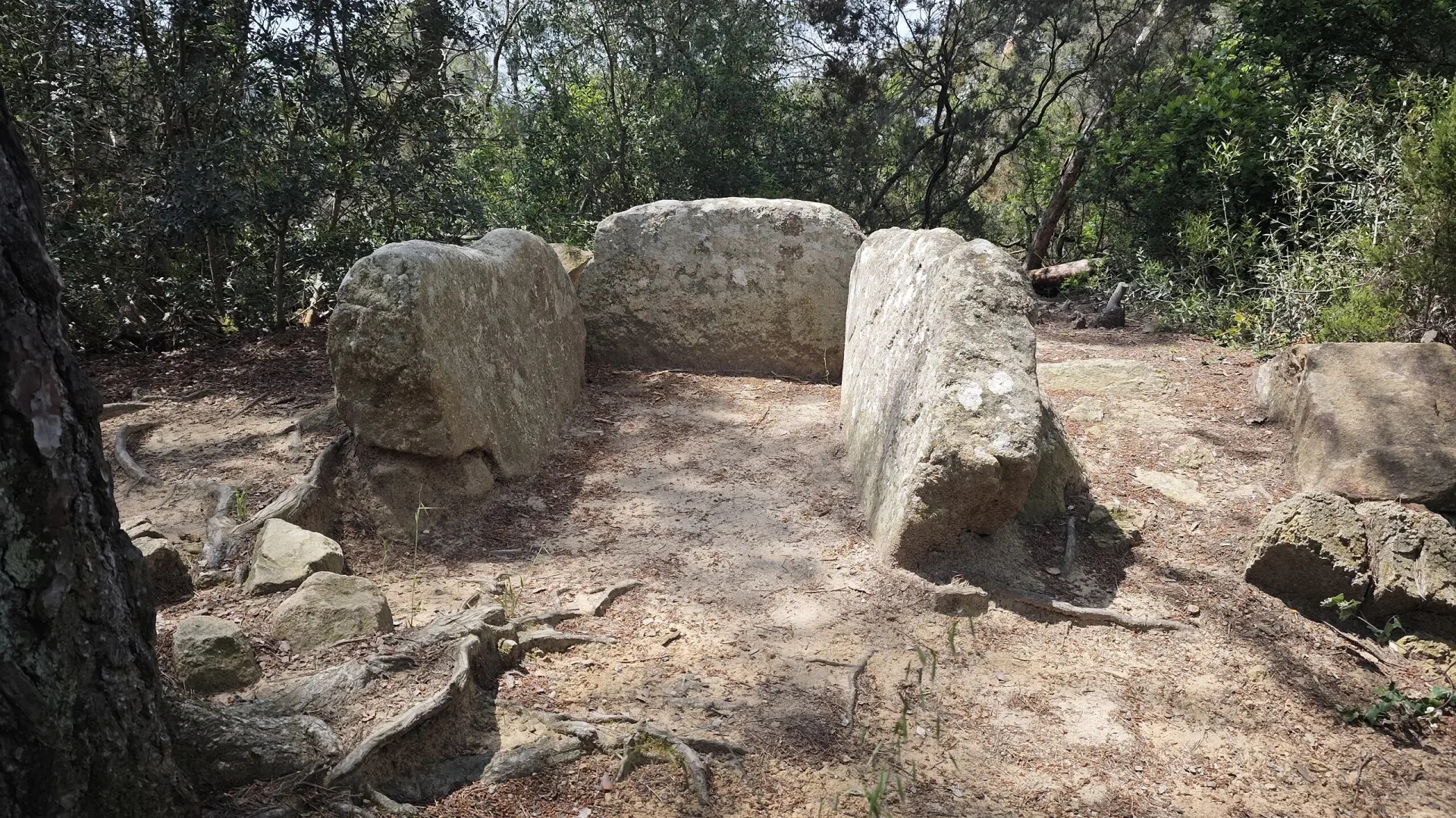 De wandelroute in Catalonië door prehistorische landschappen, ideaal voor een weekendje weg.