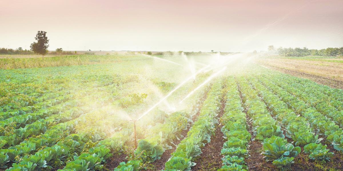 Chiapas invertirá 291 millones de pesos en infraestructura hidroagrícola