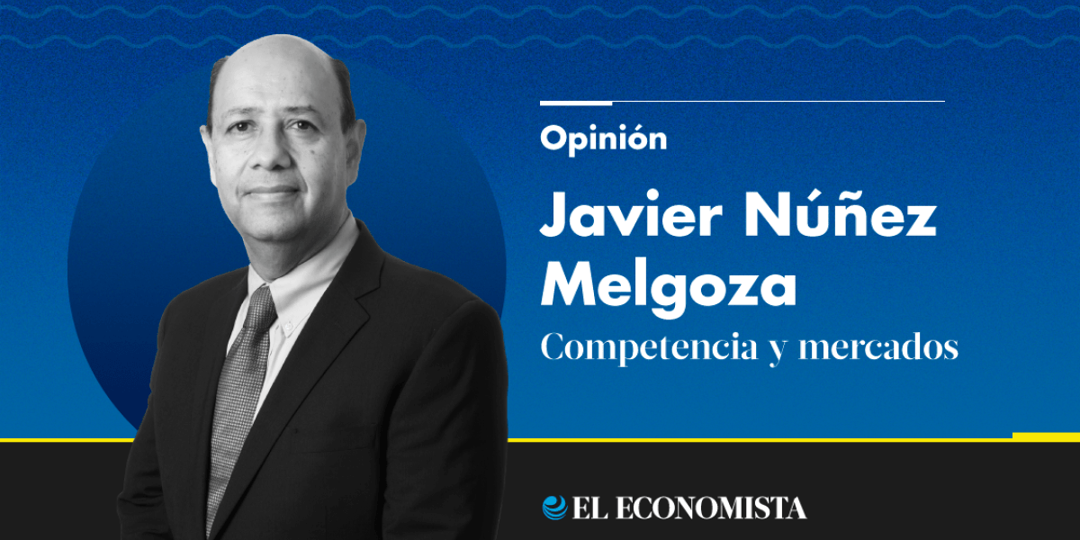 Main axes in the reform of the competition law
