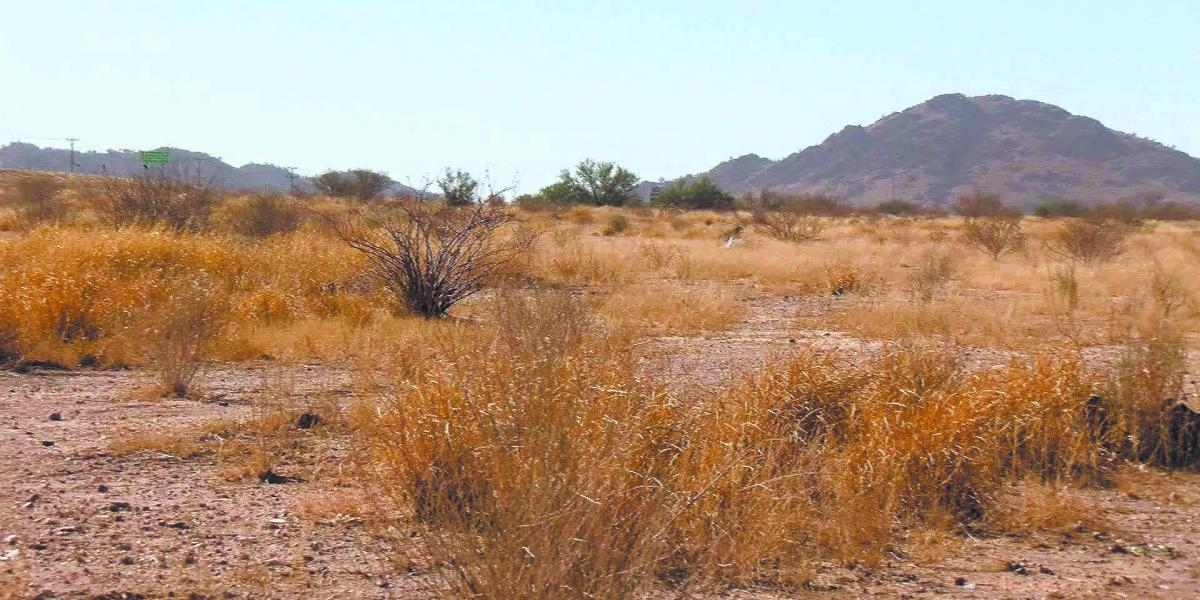 Baja California and Sonora, with worse drought than a year ago