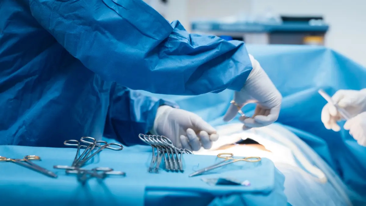 Transplant recipients would no longer have to take lifelong medications to prevent their bodies from rejecting the organ they received.