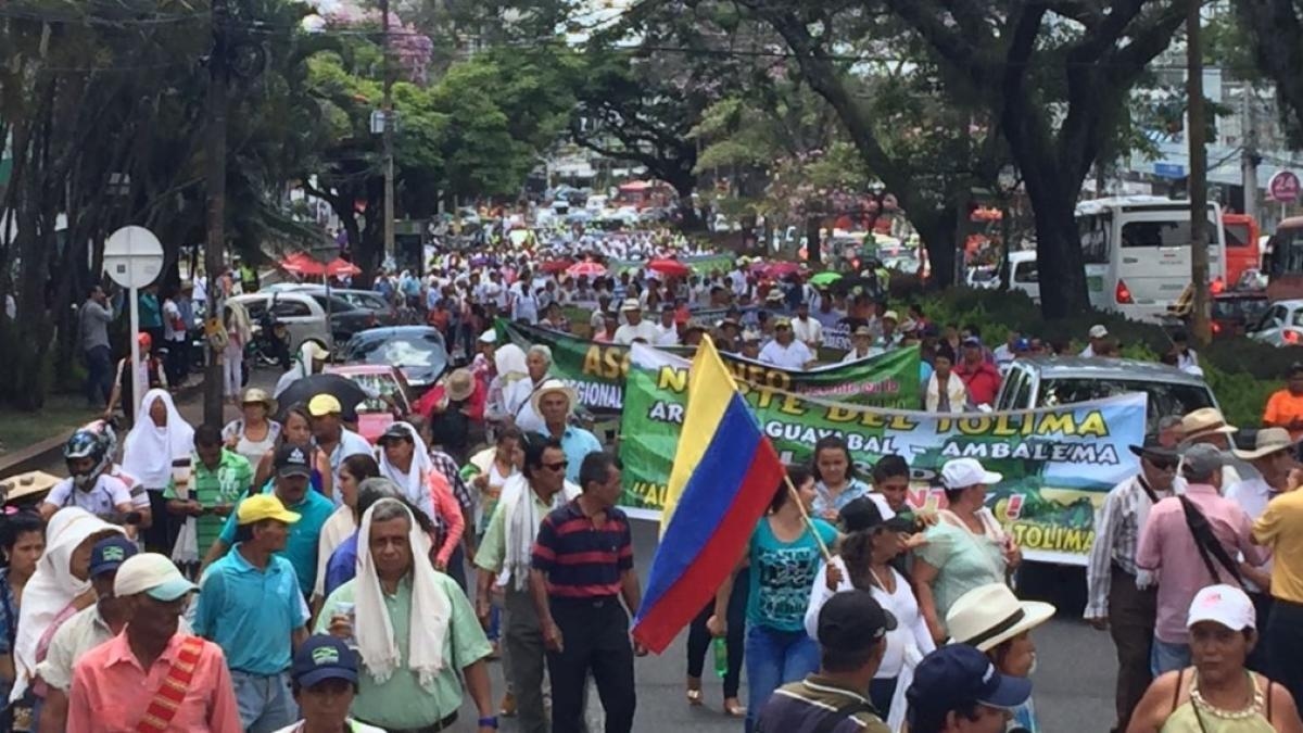 Paro arrocero: congresistas hacen un llamado al Gobierno para dar soluciones a los productores y frenar bloqueos