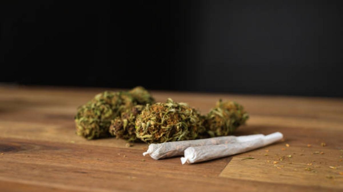 O uso de cannabis dobra o risco de morte por doença cardiovascular, de acordo com um estudo.
