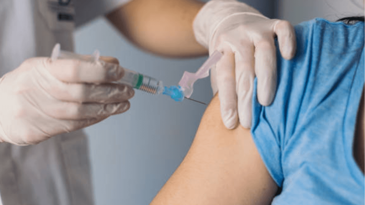 Yellow fever: Could it spread to urban areas in Latin America? Experts explain the situation