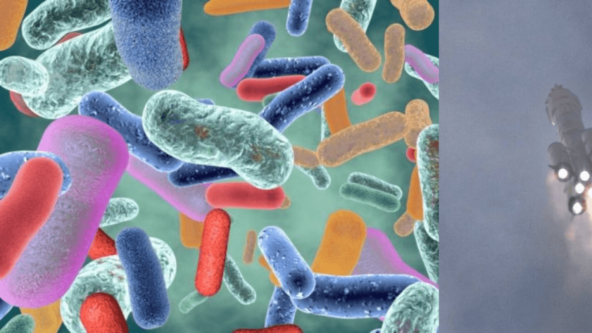 An unknown bacterium that survives extreme conditions and has unique characteristics has been discovered on the Chinese space station.
