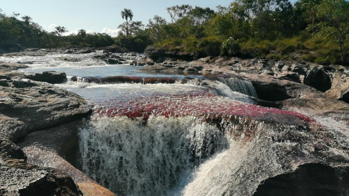 A temporada de esplendor de 2025 começa em Caño Cristales: quais atrações naturais você deve visitar em La Macarena?