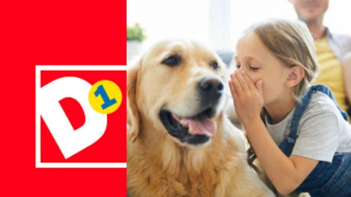 ¡Llegó la temporada más peluda del D1! Todo para sus mascotas y a precios bajos