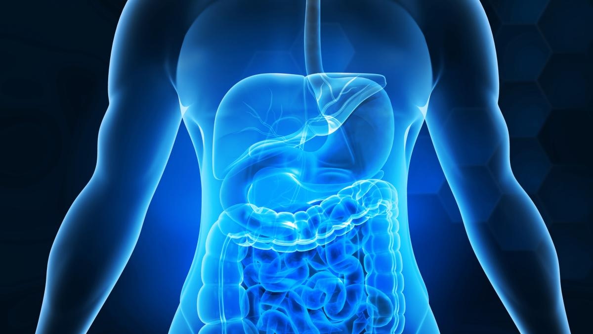 ¿Son buenos los trasplantes de microbiota fecal? Una investigación alerta sobre sus riesgos potenciales