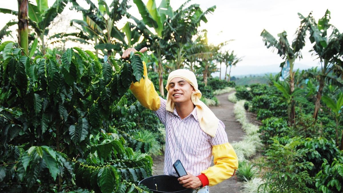 Das Nationale Kaffeefestival 2025 findet in Calarcá statt: Informieren Sie sich über die Aktivitäten, an denen Sie teilnehmen können.