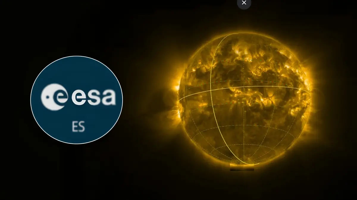 Unprecedented images of the Sun's poles captured from space are released: these are the findings