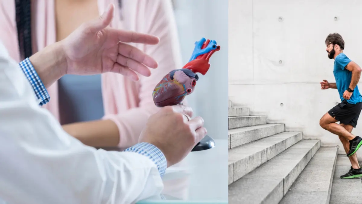 Monter au moins 50 marches par jour réduit le risque d’événements cardiovasculaires et améliore la fonction cérébrale, selon de nouvelles études.