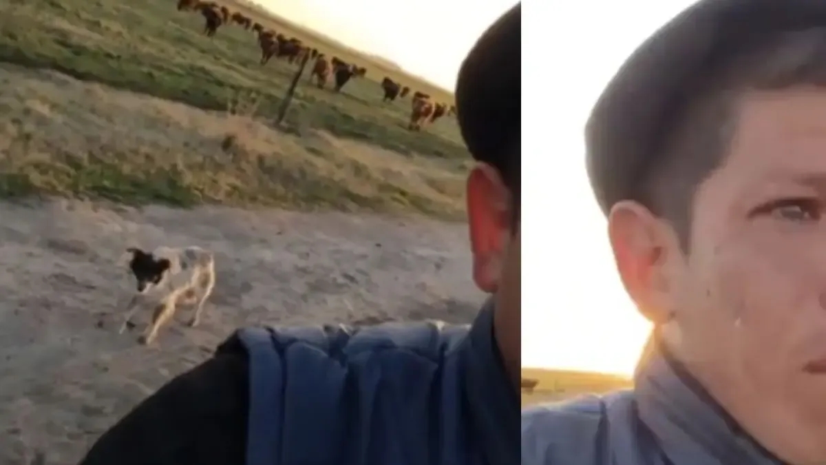 Er wurde von seinem Job gefeuert und sein Video, in dem er weinend seinen Hund auf dem Land zurücklassen musste, bewegte alle.