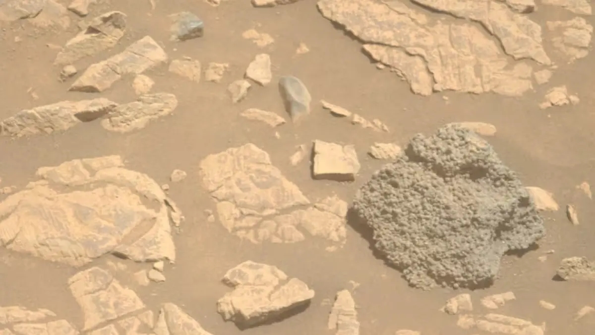 Faszinierende Entdeckung auf dem Mars: Ein mit „Spinneneiern“ bedeckter Stein stellt die NASA vor Rätsel