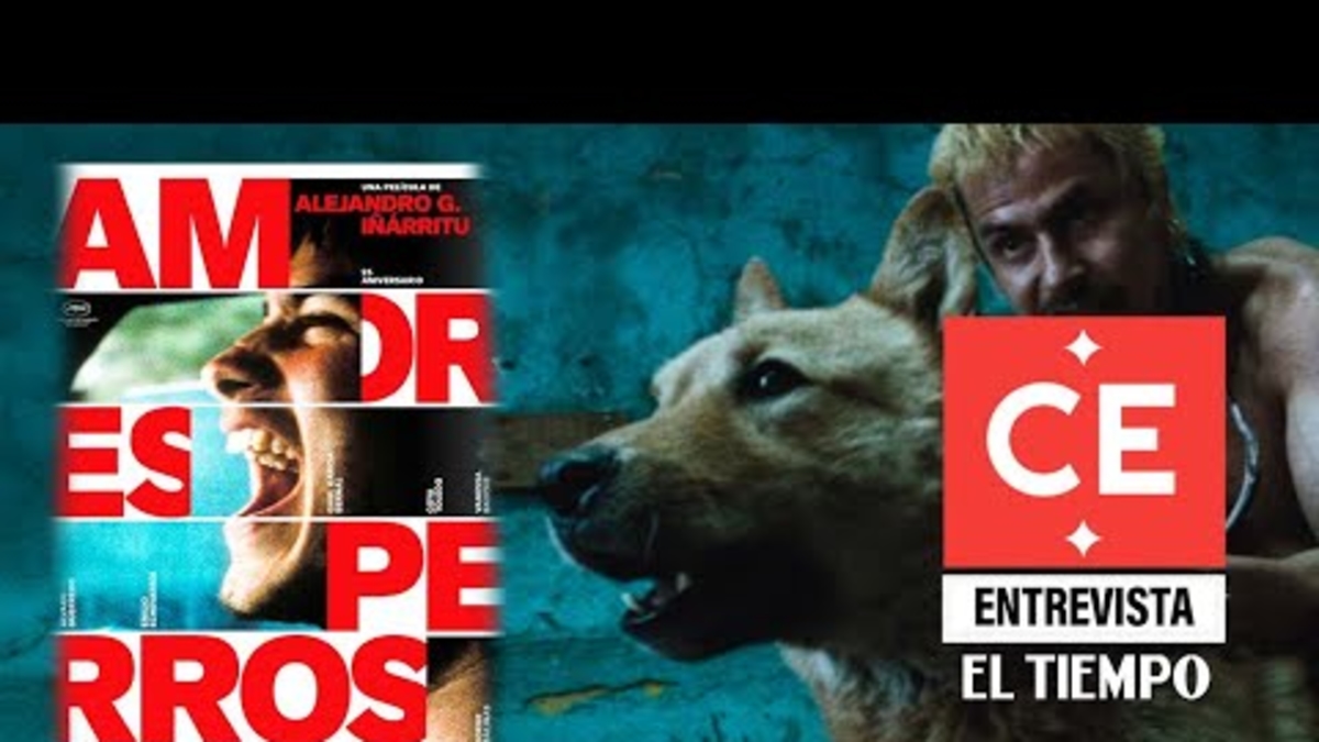 25 anni di 'Amores Perros', una pietra miliare del cinema latinoamericano