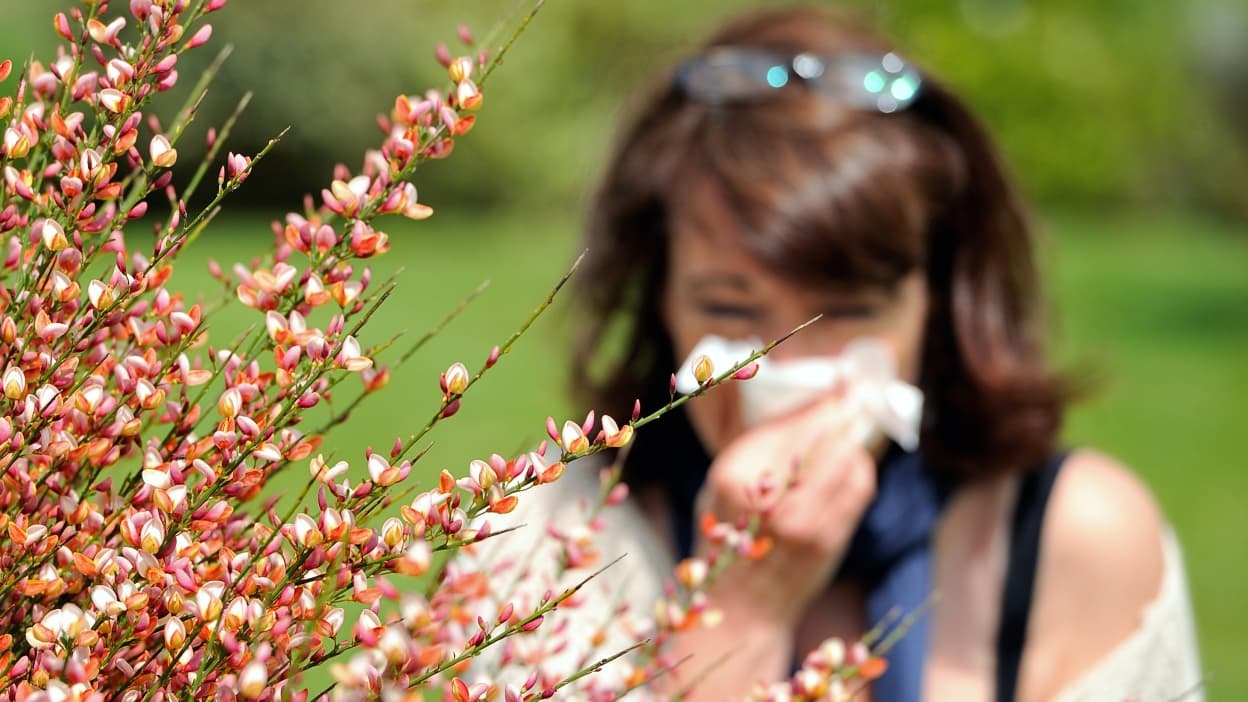 Desensibilizzazione, antistaminici, azioni quotidiane... Come alleviare le allergie ai pollini?