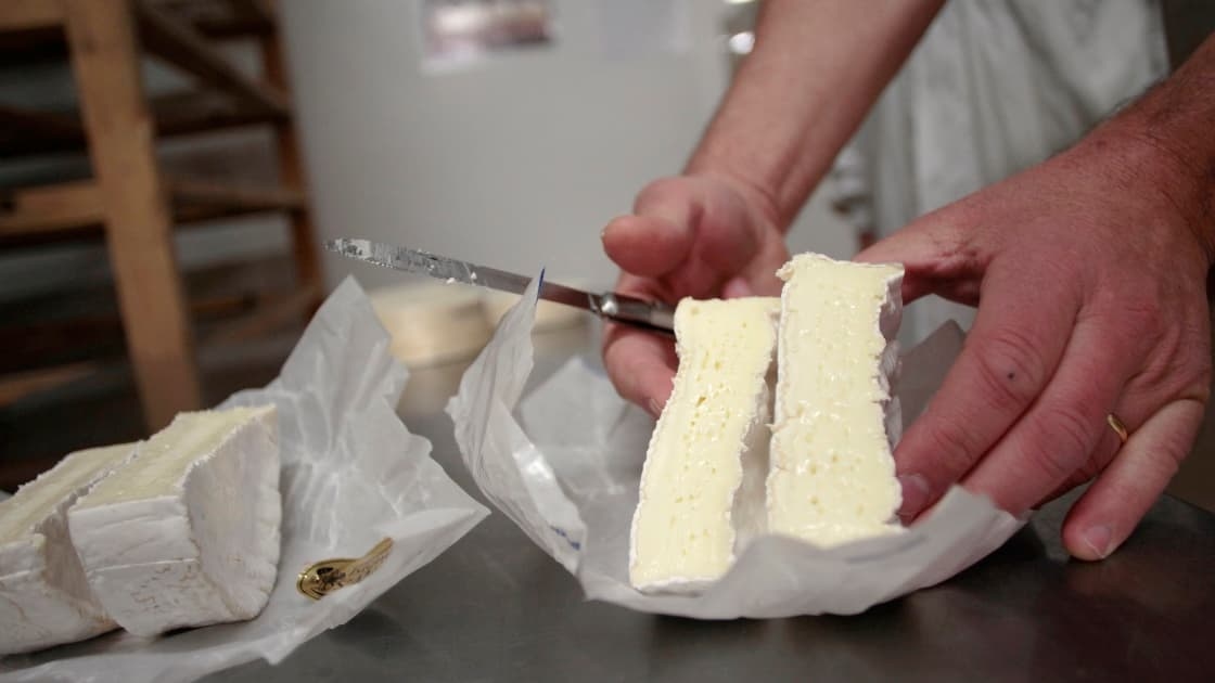 Camembert, Coulommiers, keçi peyniri... Listeriosis riski nedeniyle hangi peynirler geri çağrıldı?