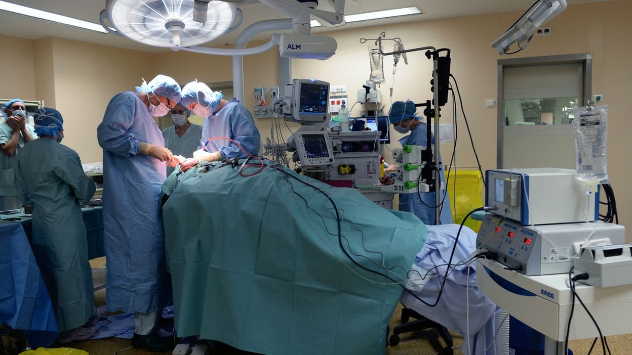 "Infinitely grateful": a fourth uterus transplant successfully performed in France