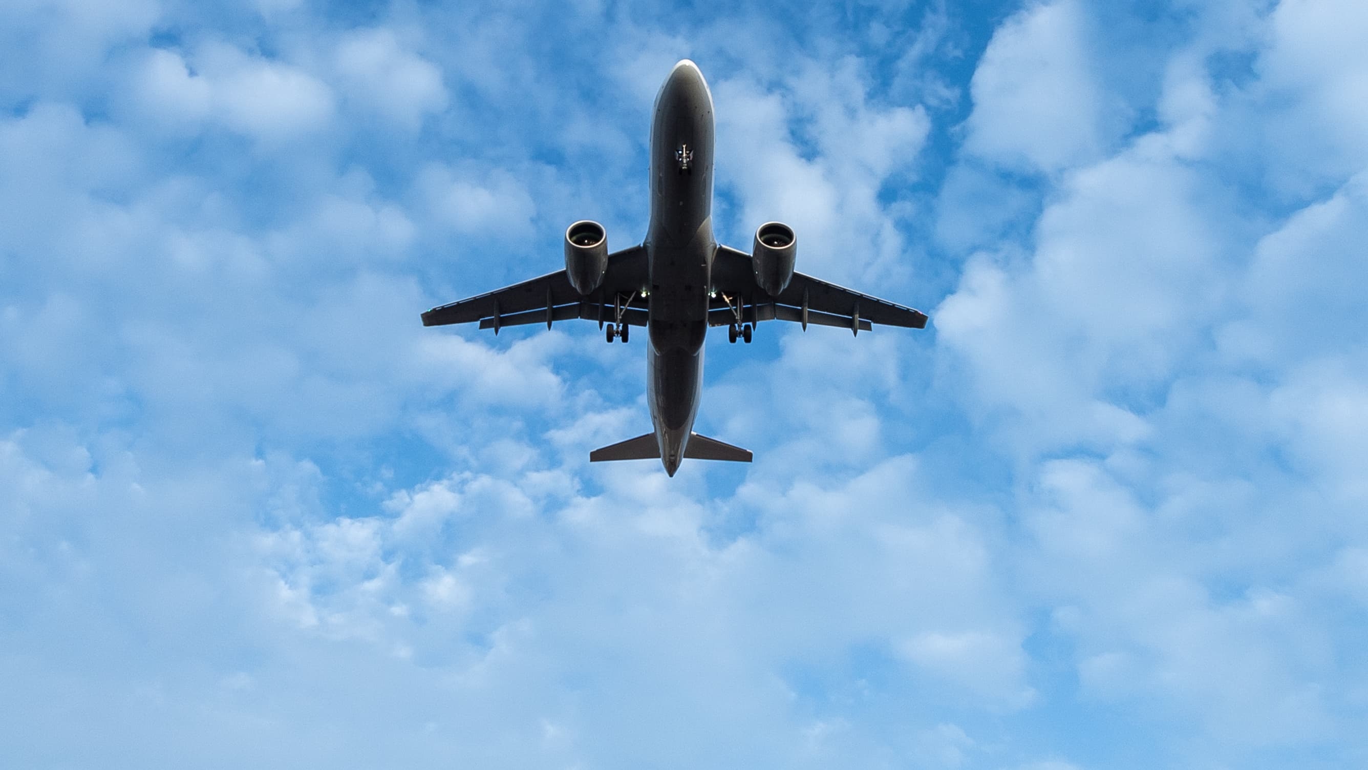 "Quattro o cinque volte mia cara": questi prodotti vengono trasportati in aereo tramite privati