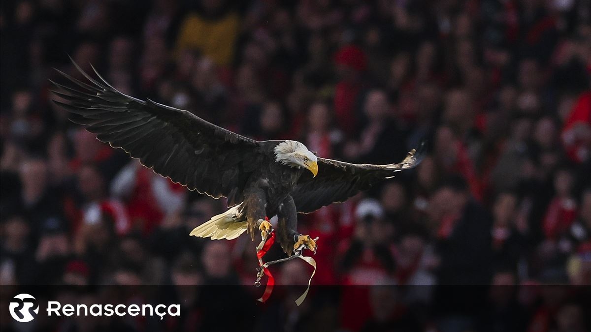 Benfica-Mitglieder stimmen am 8. März über Statutenänderungen ab