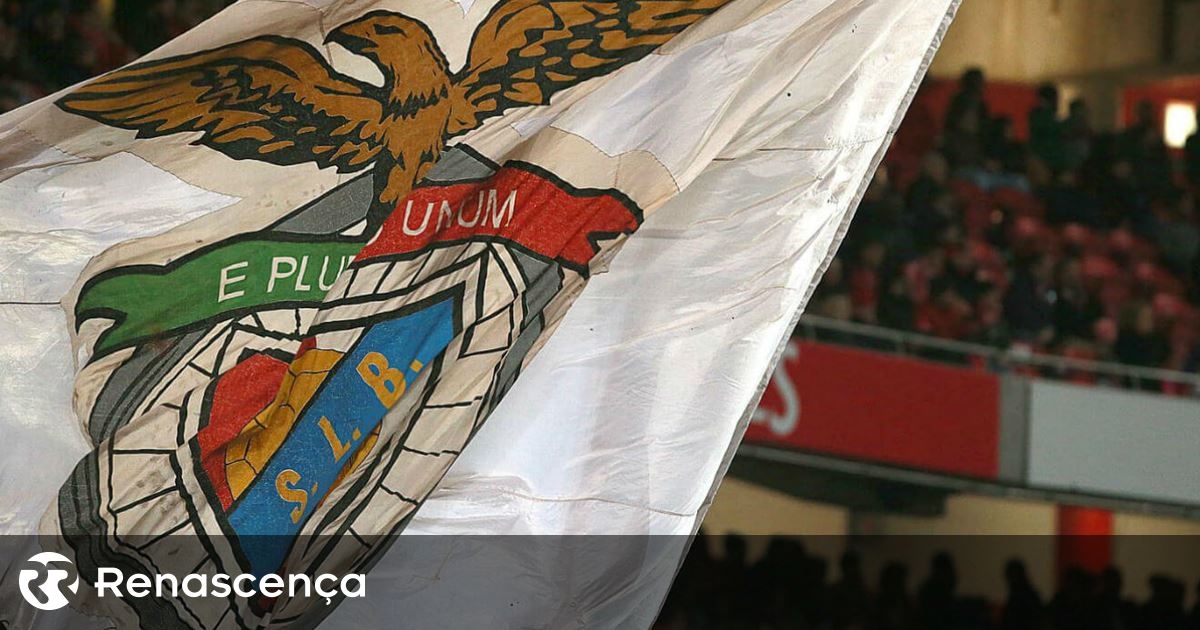 Benfica SAD volta a apresentar contas positivas