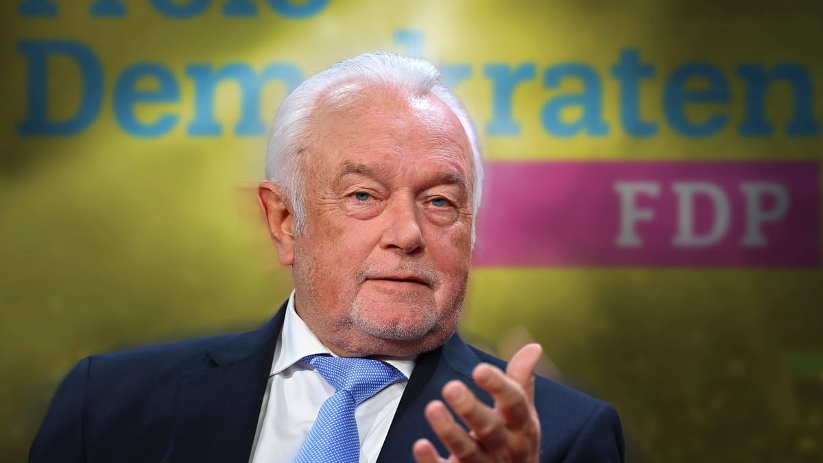 FDP-exit: Kubicki over dagelijkse uitdagingen