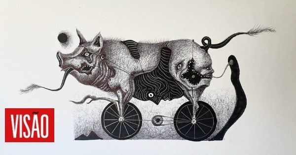 Het wiel opnieuw uitvinden: als de pers stopt, krijgen de varkens er een kick van