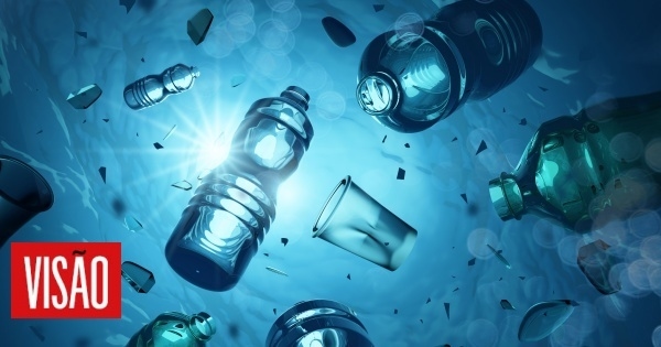Graaf de plastic kop op
