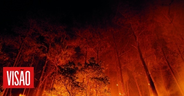 Incendio gallego con fuerte reactivación en el distrito empresarial de Chaves
