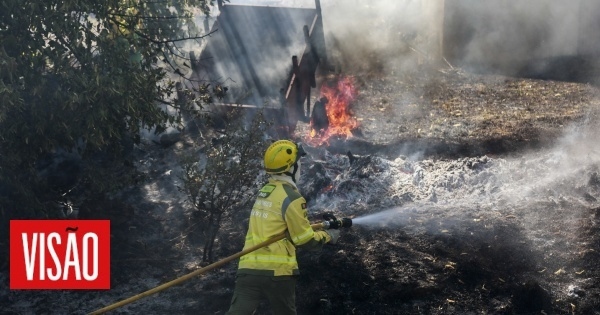 Suspect arrested for starting six fires in Pinhel