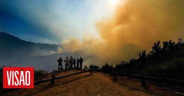 La police de Braga a arrêté un homme soupçonné d'avoir déclenché 17 incendies de forêt