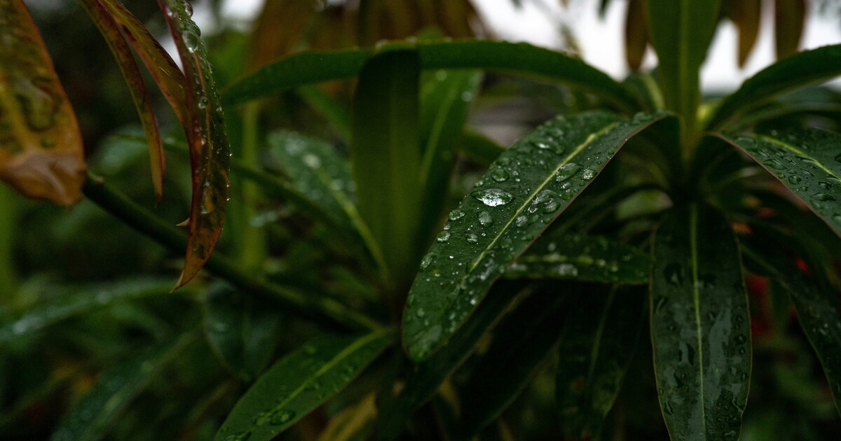 La petizione valdostana sull'acqua informata