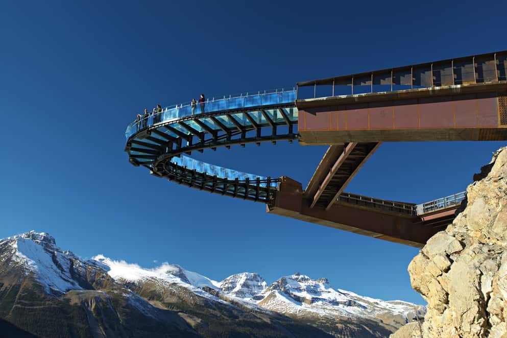 Test of courage or dream scenery?: These skywalks are simply spectacular!