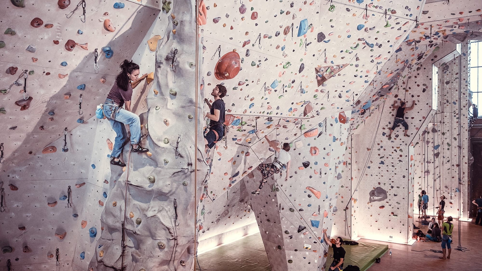Indoor climbing: The right equipment for the hall