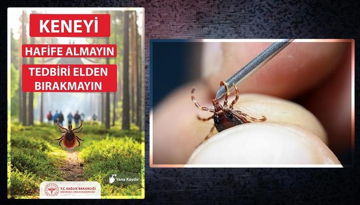 CCHF ist zurück... Zeckenbisse können krank machen! Treffen Sie Vorkehrungen gegen das Infektionsrisiko! Experten warnen...