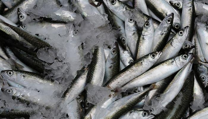 Der Geschmack, der die Alterung verzögert: Sardine! Das Geschmackserbe der Nordägäis, eine natürliche Unterstützung für die Gesundheit von Haut, Haaren und Nägeln ...