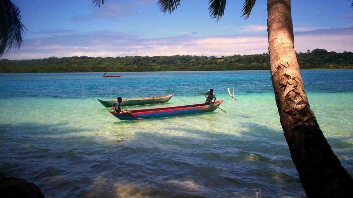 Fatal poisoning at Madagascar party leaves 20 dead