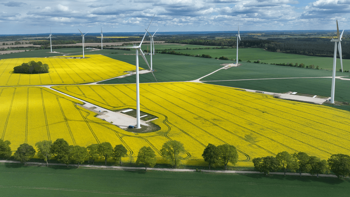 Primeira eletricidade do novo parque eólico do Polsat Plus Group e ZE PAK em Drzeżewo