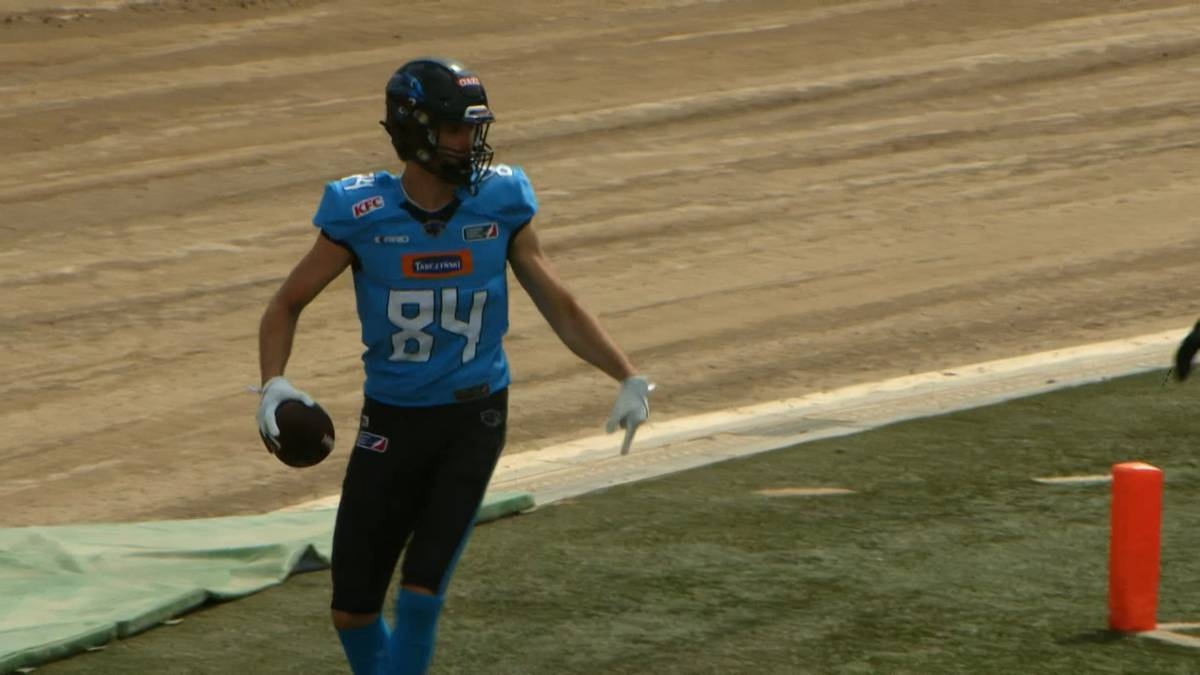 Vienna Vikings - Panthers Wrocław. Gdzie obejrzeć? Transmisja TV i stream online