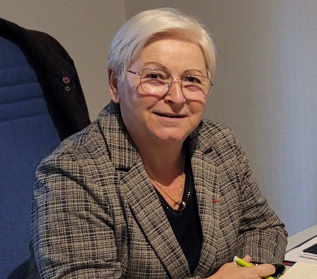 Anne-Marie Nédélec'in Senato'daki Görevleri