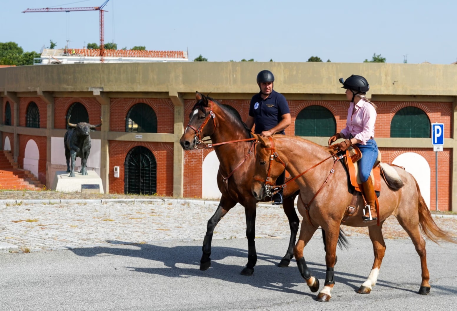 Almeida – Itinerari Equestri di Picadeiro D'el Rey